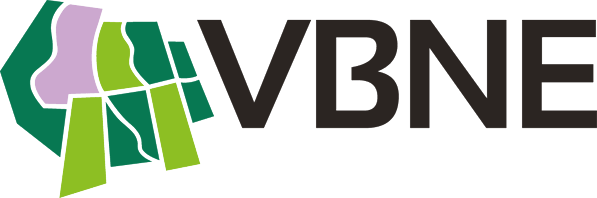 Vbne